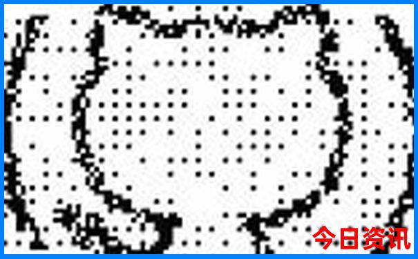 红图库红五图库